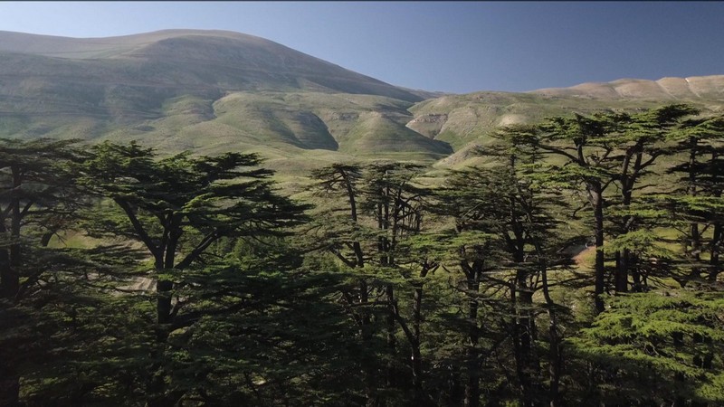 The Beirut Art Film Festival continues its journey
